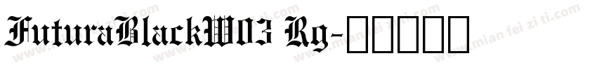 FuturaBlackW03 Rg字体转换
